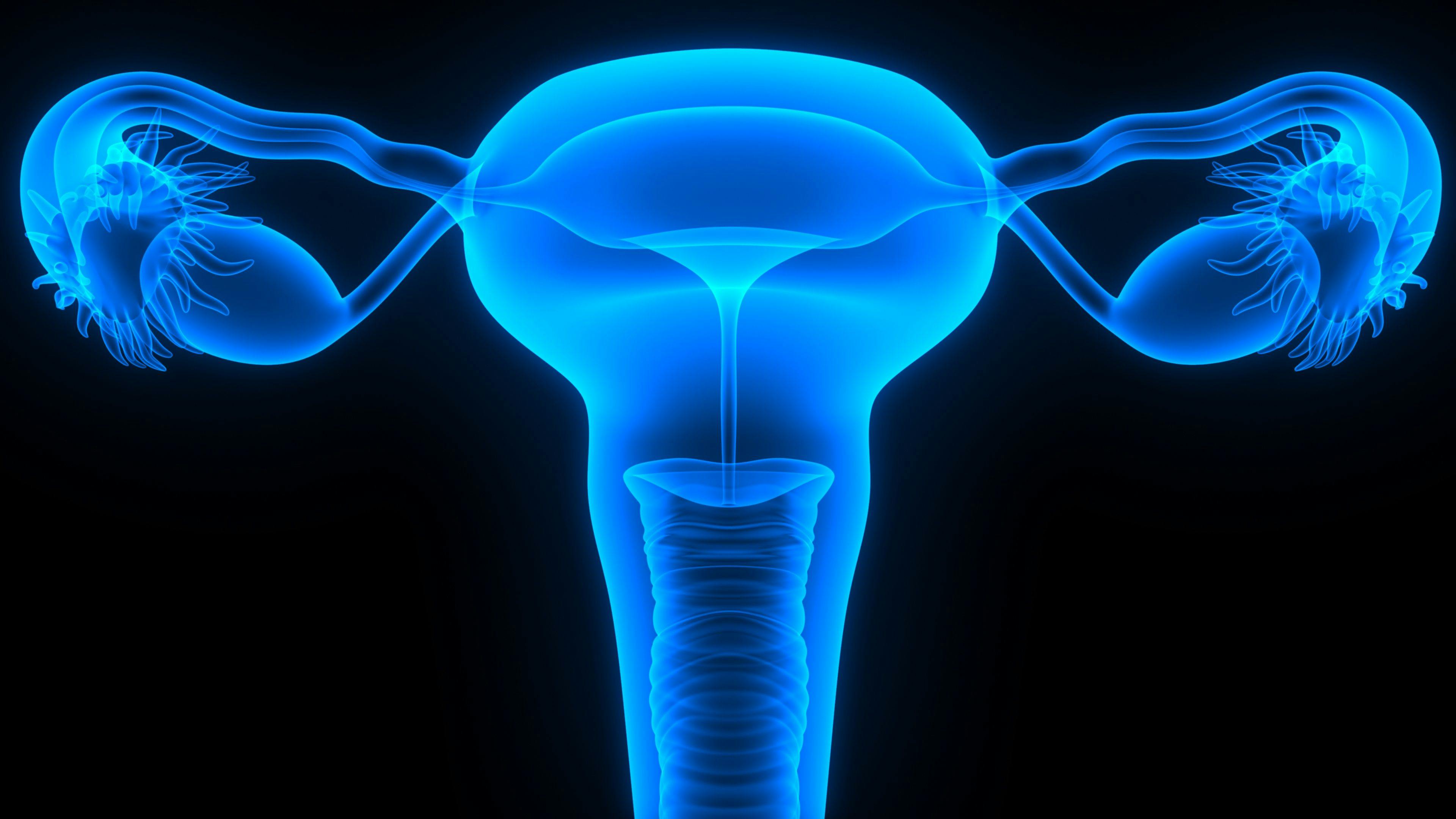 Data from the phase 3 JAVELIN Ovarian 200 trial indicated that avelumab with or without pegylated liposomal doxorubicin did not yield a significant improvement in overall or progression-free survival over the chemotherapy alone in platinum-resistant/refractory ovarian cancer.
