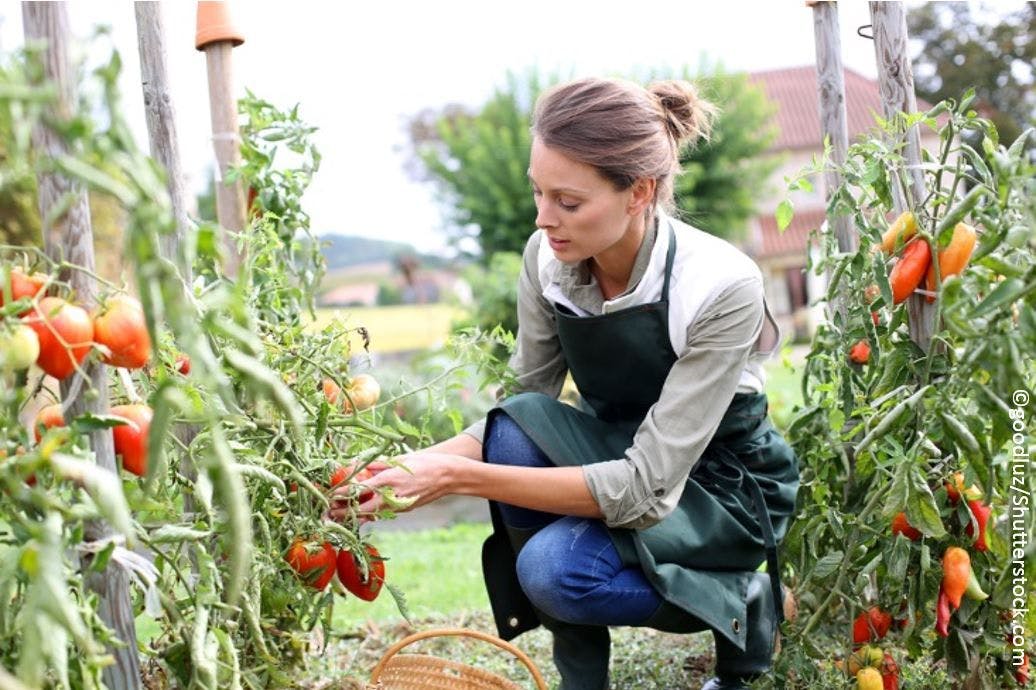 Gardening Intervention Improves Outcomes Among Breast Cancer Survivors