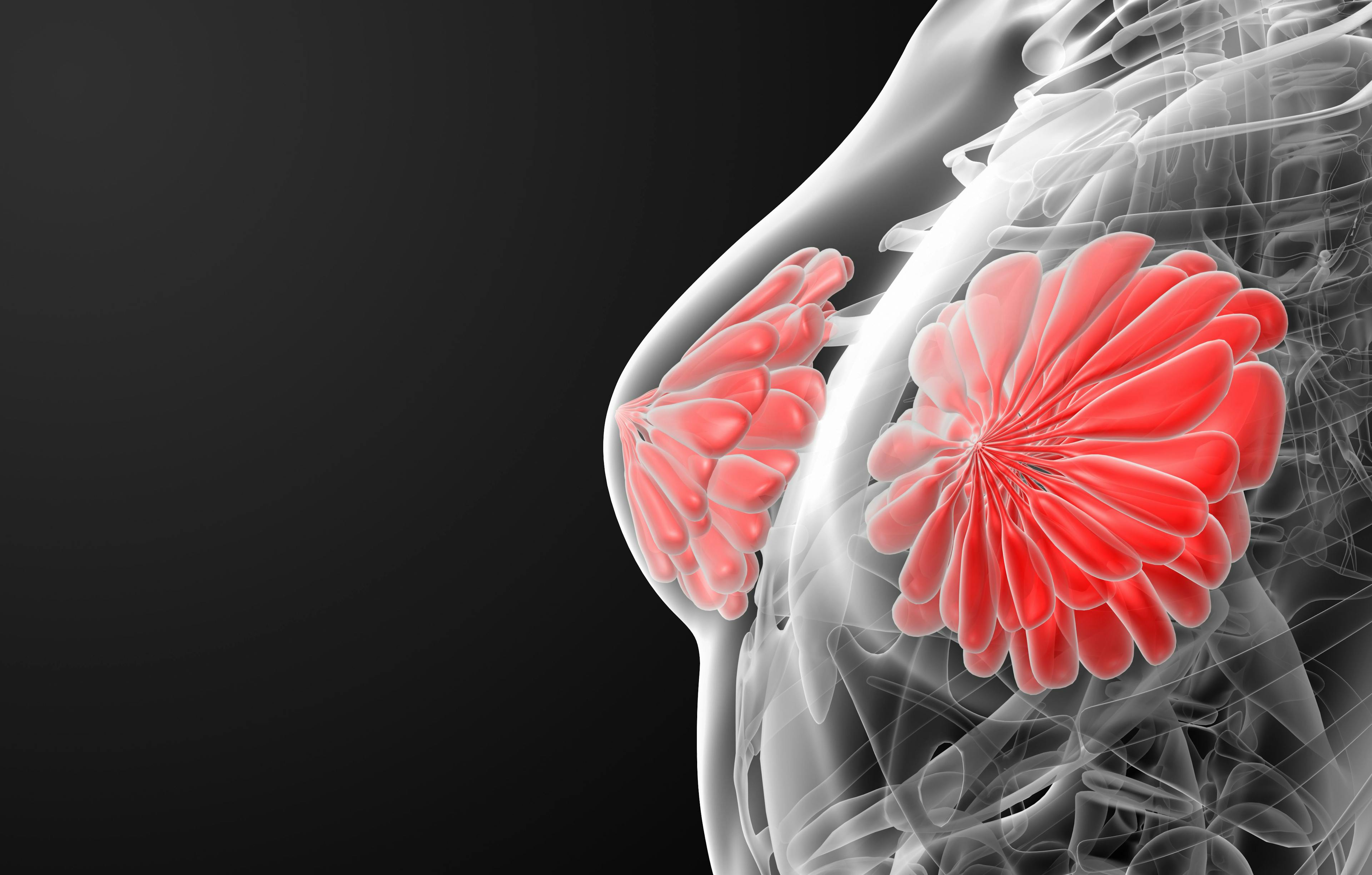 Illustration of human breast tissue