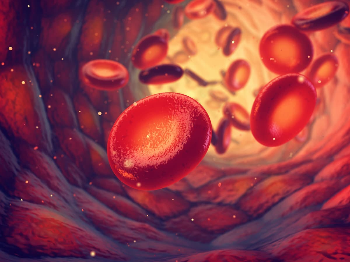 Patients with chronic lymphocytic leukemia experienced improved quality of life after being treated with continuous ibrutinib and rituximab, as well as frontline fludarabine, cyclophosphamide, and rituximab.
