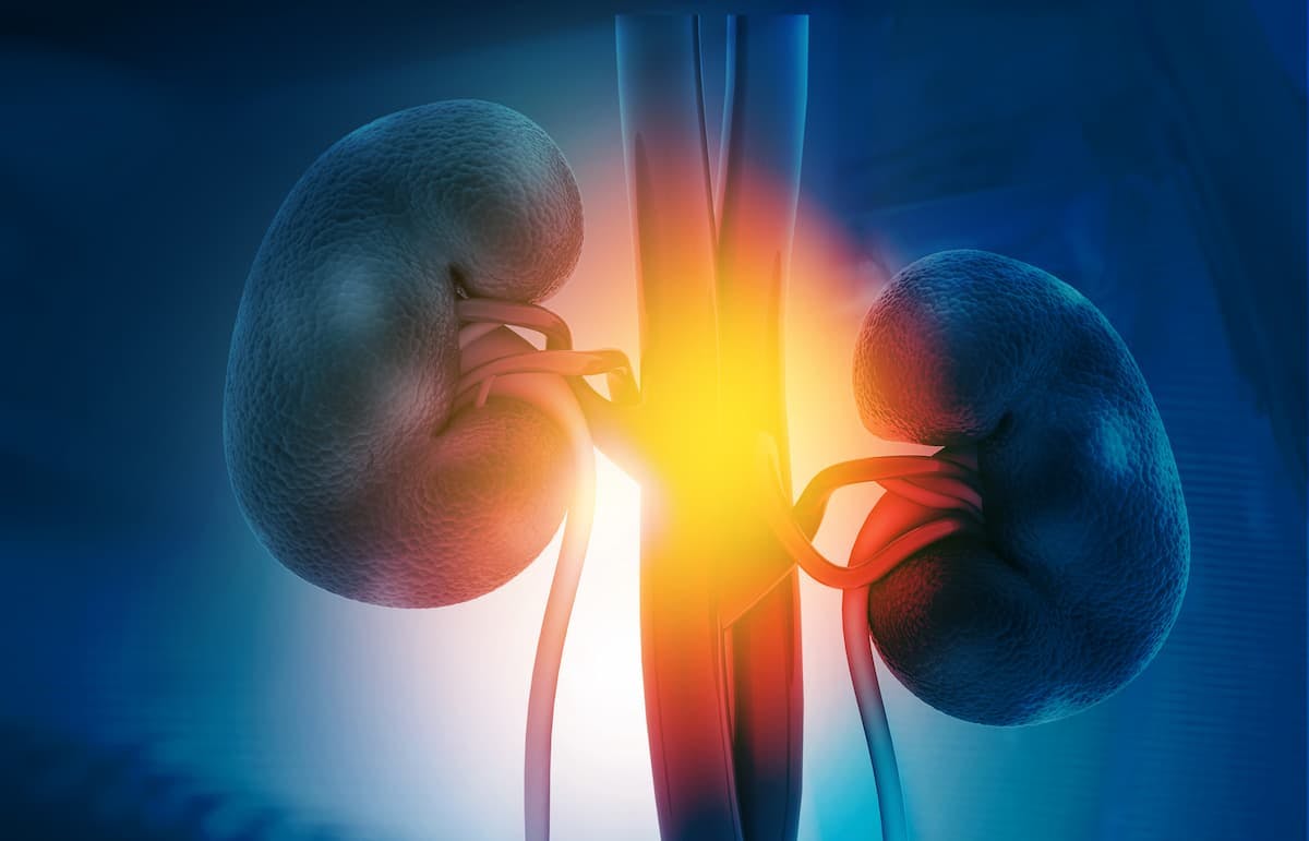 Improvements in Surgical Technique Offer Better QOL in Kidney Cancer| Image Credit: © Rasi - stock.adobe.com.