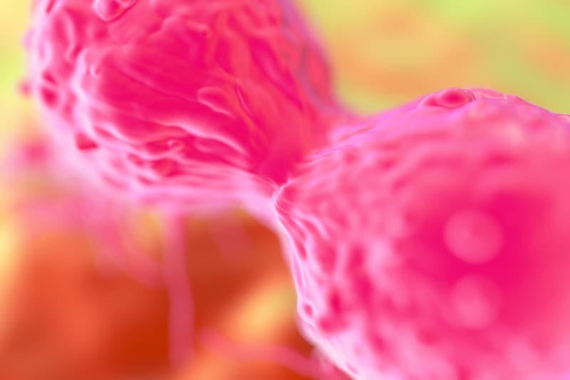 Rates of treatment discontinuation appear to be higher in patients receiving nivolumab plus ipilimumab for cancer than those receiving nivolumab monotherapy.