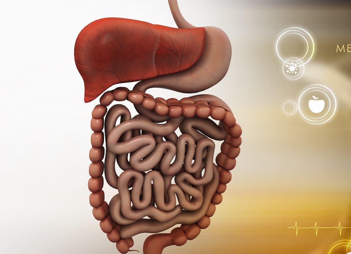 Investigators found that imatinib maintenance therapy for 6 years reduced the risk of recurrence in patients with gastrointestinal stromal tumors. 