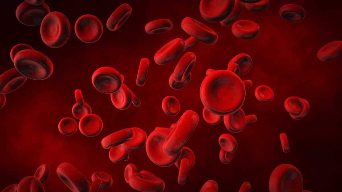 According to the agent’s prescribing information, ropeginterferon yields robust and long-lasting rates of complete hematologic response over the course of 7.5 years across an array of patients with a tolerable safety profile